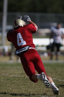 爱游戏中国官网-中超球队重点对手研究频率分布，中超球队实力分析