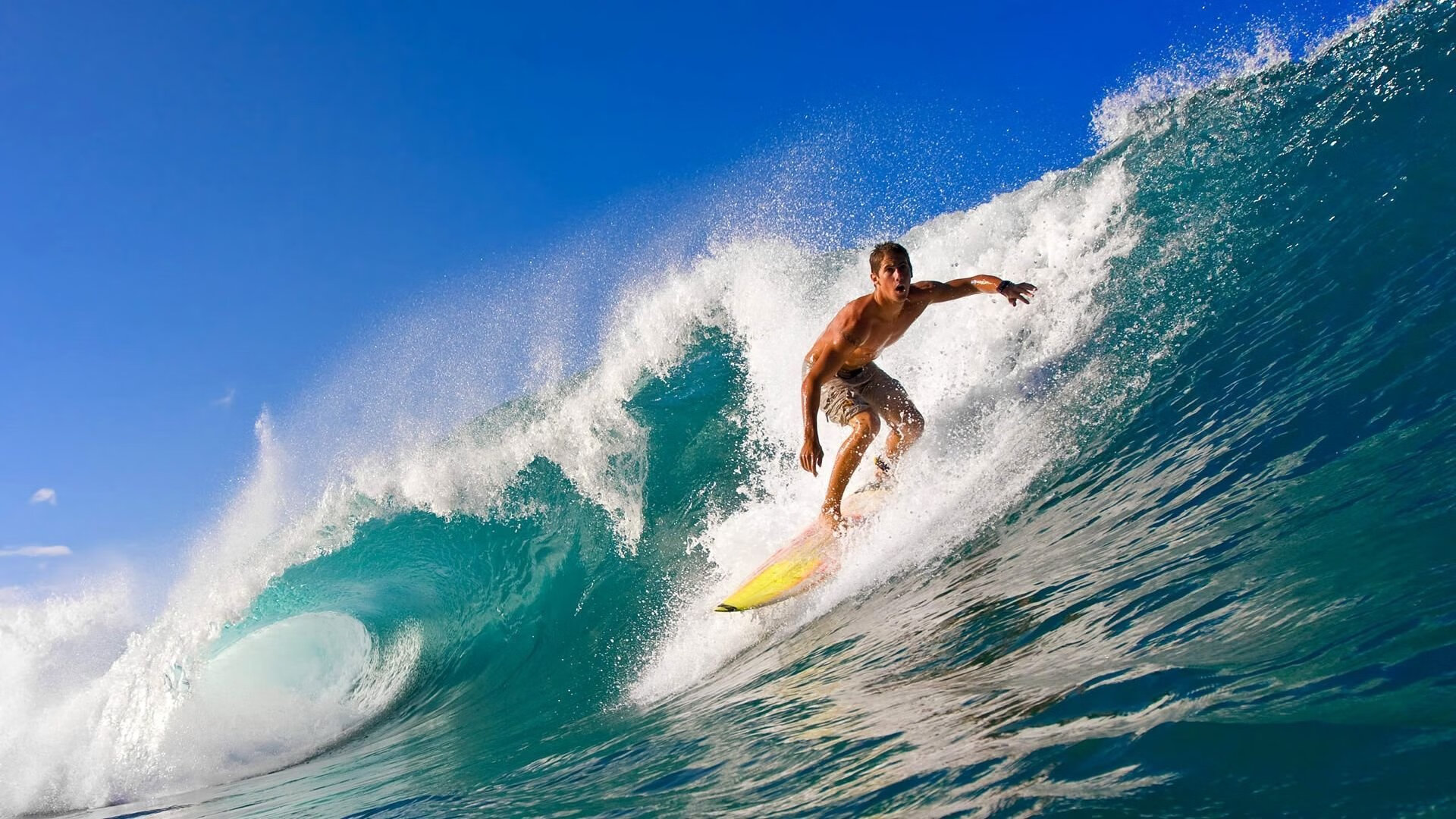 荷兰骑手 Dinja van Liere 在巴黎奥运会盛装舞步比赛中获得第六名，展现出色表现。